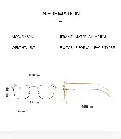 image_6.webp