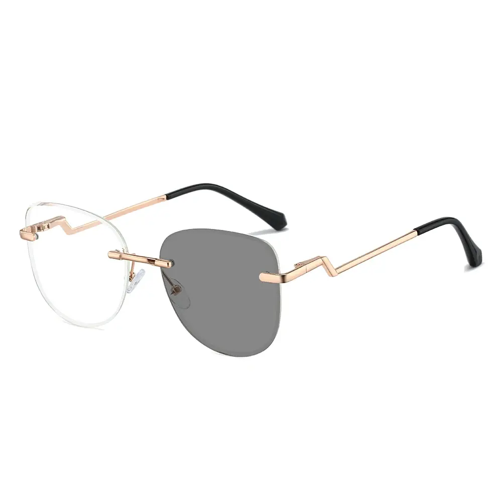 [ptc05n] Lunettes photochromiques PTC05 (Noir or)