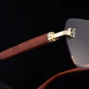 Lunettes photochromiques PTC15