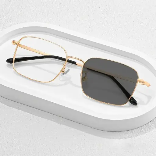 Lunettes photochromiques PTC16